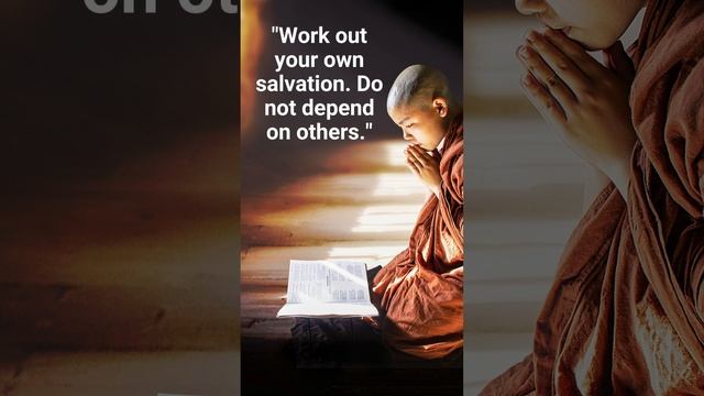 Buddha teaches us: Work out your own salvation #meditation #buddha #innerpeace смотреть онлайн