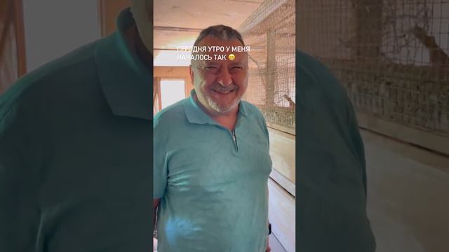 ТАКОЕ ПРЕКРАСНОЕ УТРО! смотреть онлайн