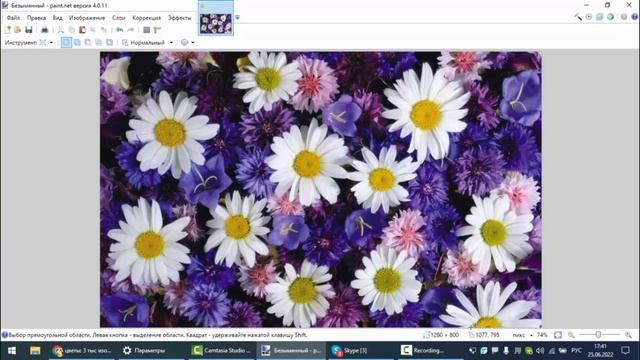 Как настроить размер изображения без потери качества. Paint.net смотреть онлайн
