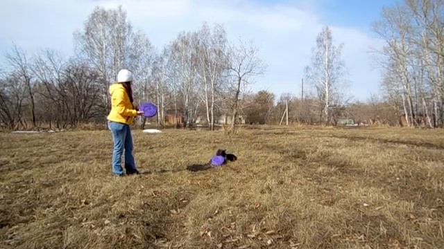 Стаффордширский бультерьер смотреть онлайн