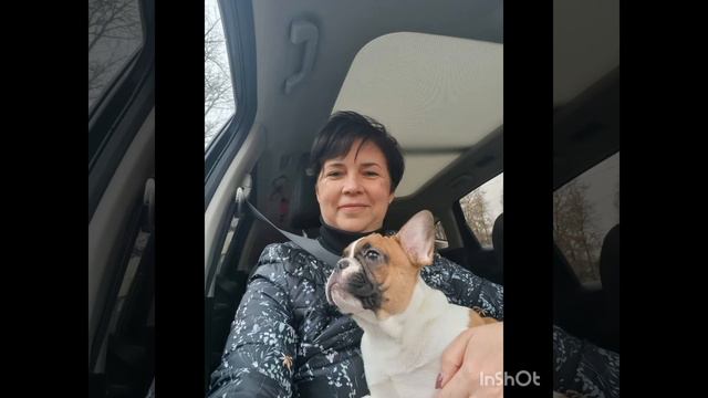 Как живёт Геллер Симба, теперь он Гоша в новом доме. смотреть онлайн