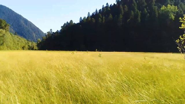 Экологические маршруты в Архызе смотреть онлайн