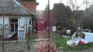 сушилка для дров