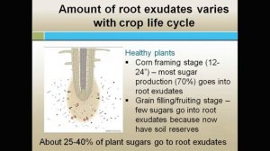 Джим Харман  Новое о метаризиуме и микоризе.