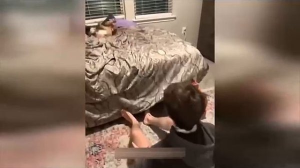 Без названия