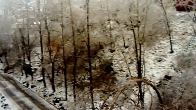 Первый снег Владивосток 19.2020 смотреть онлайн