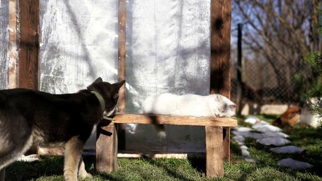 Built A New Fire Pit And Cooking Wild Medlar Sauce