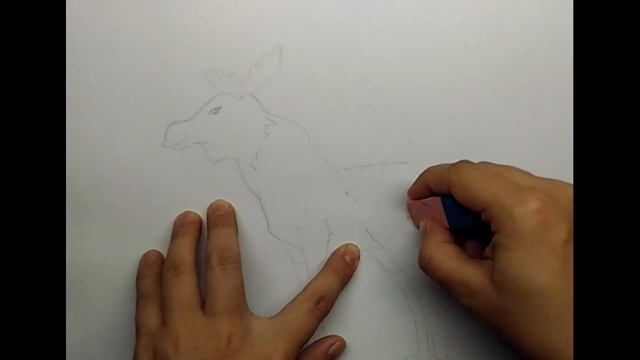 Как нарисовать лося смотреть онлайн