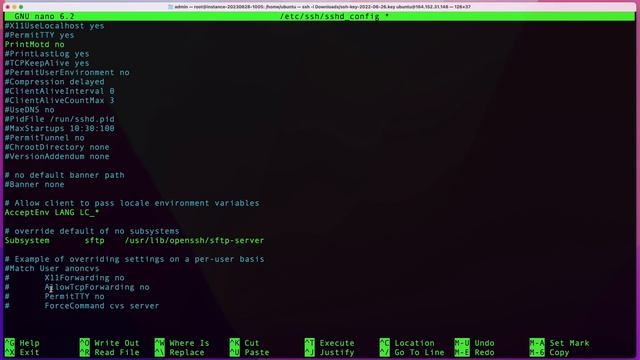 Enable SSH Password Authentication on Linux OpenSSH смотреть онлайн