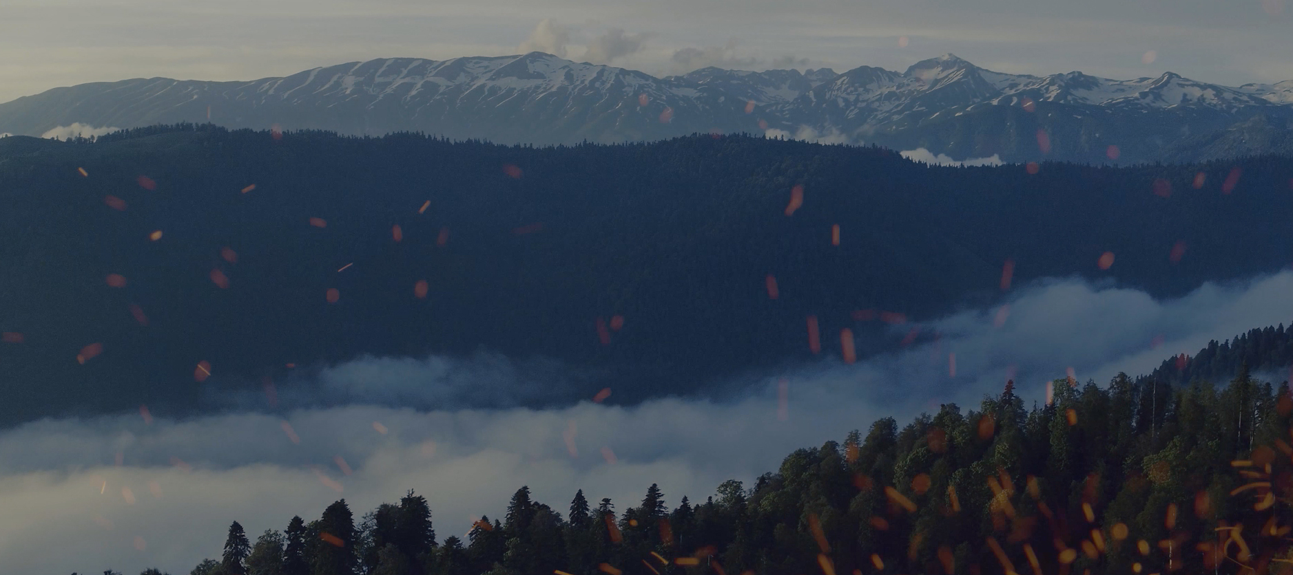 Илья Зудин - После дождя