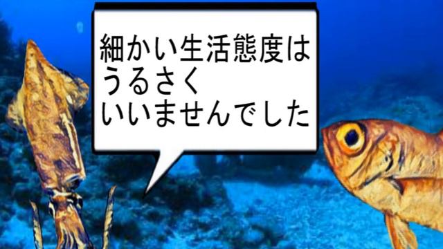 ケンサキイカ とキンメダイ の ほのぼの雑学337 「荻生徂徠」 смотреть онлайн