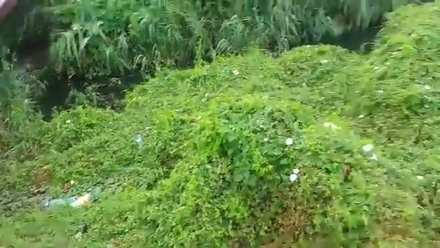 Правда Крыма: Байбуга не речка а инфекционная мина. Глисты и бактерии в Черном море... смотреть онлайн