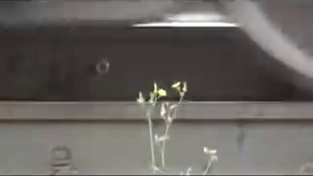 Крушение поезда на перегоне Ерал - Симская