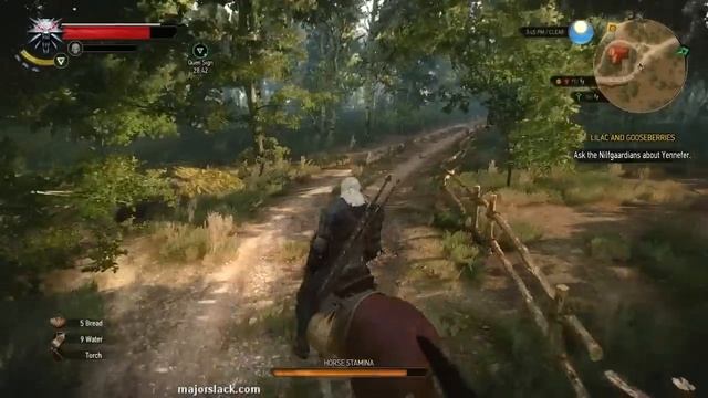 The Witcher 3 Walkthrough - Part 6 - Necrophage Oil, Easy New Armor, Bear Fight смотреть онлайн
