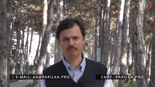Как стать организатором чемпионата в своем регионе? Русь-Банная 2021-2022 смотреть онлайн