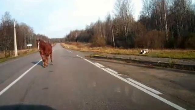 Таможня в д. Новички Холмского района. смотреть онлайн