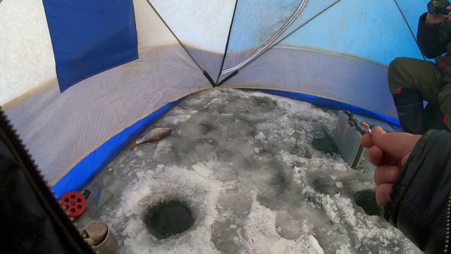 ПЕРВЫЙ ЛЁД 2020-2021/ЗНАМЕНСКИЙ ЗАЛИВ/ЛОВИМ СОРОГУ И ОКУНЯ НА МОРМЫШКУ/ГДЕ КУПИТЬ УГОЛЬ В ПАЛАТКУ!! смотреть онлайн