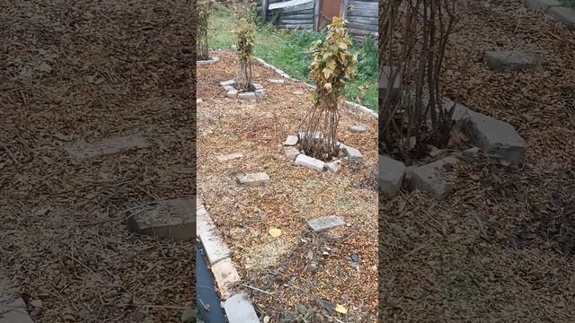 Поездка в деревню. Владимирская область. смотреть онлайн