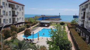 Альфа Сириус Сочи 2024 Alfa Sirius