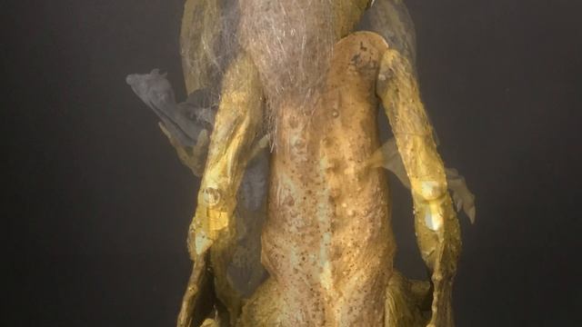 McFarlane Toys MALEBOLGIA 1995 Spawn Wave 2 смотреть онлайн