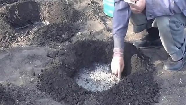 Садим кабачки. Кабачки из семечек. смотреть онлайн