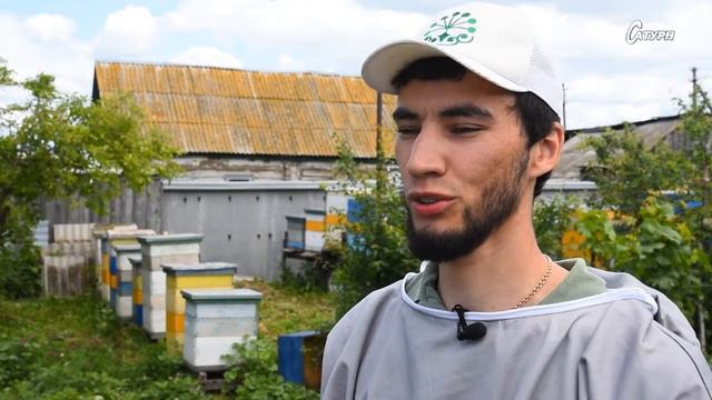 Пчеловодство смотреть онлайн