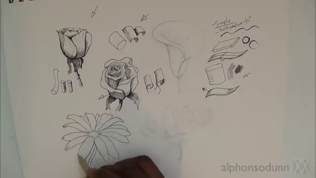 Pen & Ink Drawing Tutorial | How to draw flowers part 1 смотреть онлайн