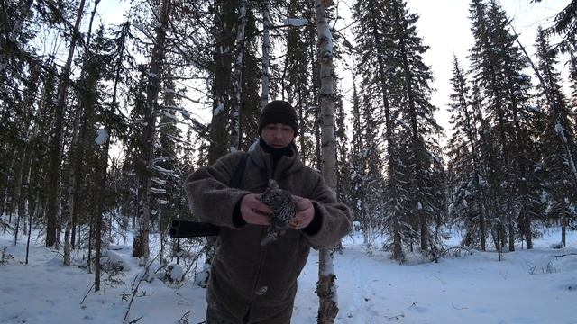 ОХОТА НА БОРОВУЮ ДИЧЬ В ГЛУХОЗИМЬЕ / ПОХОД В ТАЙГУ НА ЛЫЖАХ / ТРУДОВАЯ ОХОТА. смотреть онлайн