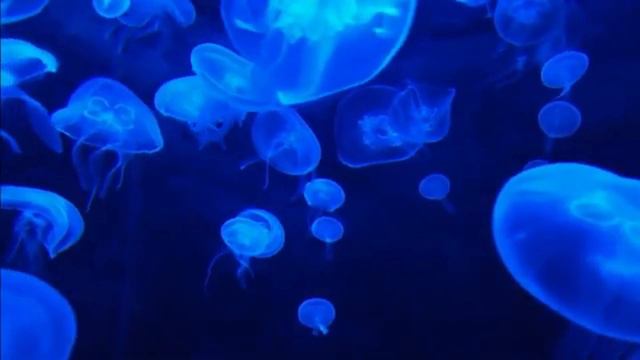 Расслабляющая музыка мелодия океан смотреть онлайн