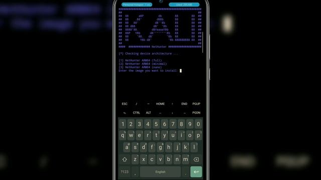 How to install Kali Linux смотреть онлайн