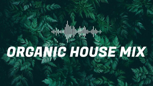 Best Ethnic Deep House Mix 2024 | Organic House | Relaxing Meditation Music