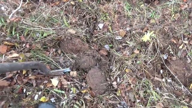 Коп металлолома. смотреть онлайн