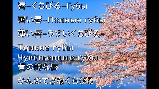 ВНЕШНОСТЬ И ОПИСАНИЕ ХАРАКТЕРА. Видеословарь японского. Онлайн школа Helga Hanada & Tomohiro Inui. смотреть онлайн