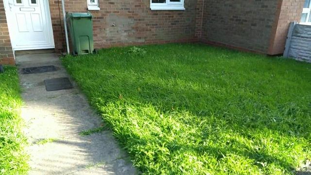 Nubia Z11 60 Fps Camera