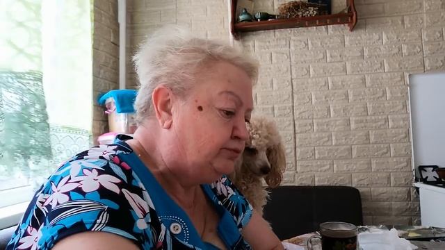 Заезжали гости с Казани. ? смотреть онлайн