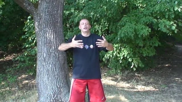 Целебная сила деревьев часть1 смотреть онлайн