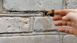 Реставрация кирпичной стены сарая