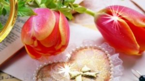 1 часть ЦЫГАНСКАЯ СВАДЬБА КОЛЯ и НАСТЯ