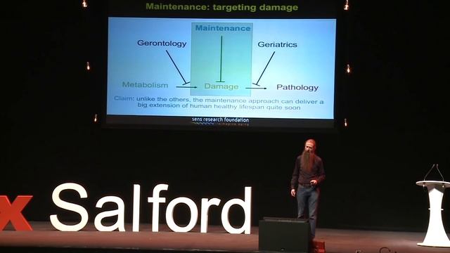 Seeking immortality: Aubrey de Grey at TEDxSalford смотреть онлайн