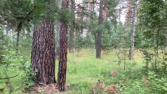 Отдых на обском в июле, Каракан, Ордынка. ДР Кича 2021 смотреть онлайн