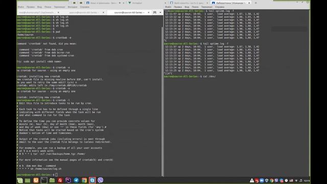 Linux язык программирования Bash.Cron