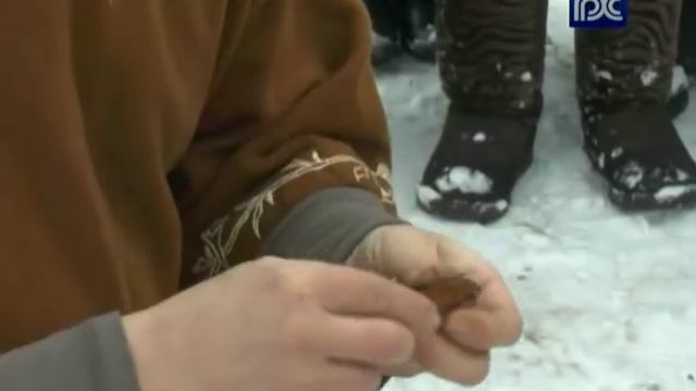 В Тарногском районе возрождают древние славянские обряды смотреть онлайн