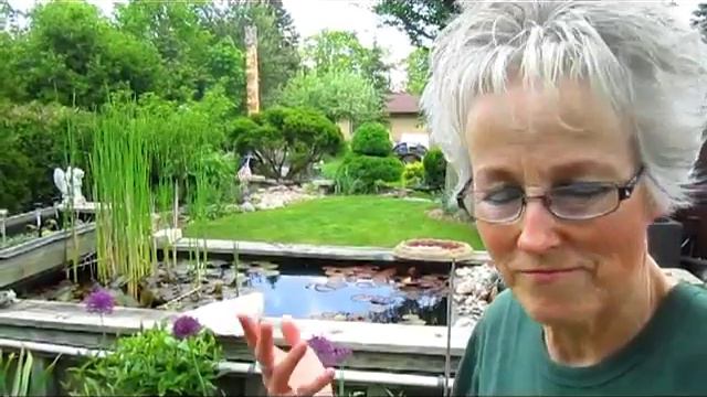 Allium Blooms - Wisconsin Garden Video Blog 401 смотреть онлайн