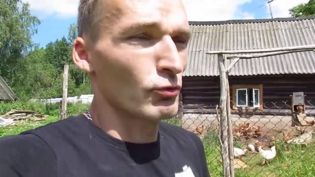 Вскрытие кур показало... + Легкий способ найти кто несет яйца смотреть онлайн