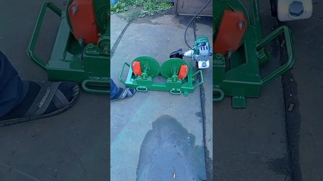 Кедротряс смотреть онлайн