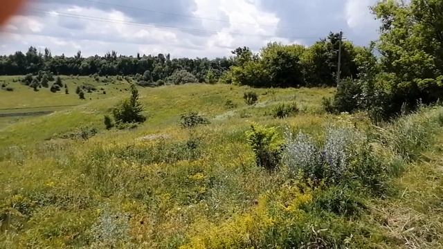 Разнотравье и медоносы Белгородской области смотреть онлайн
