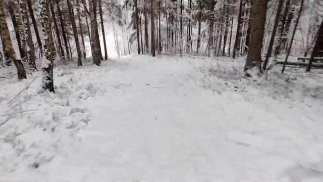 Зимняя сказка на Зубце #лыжныегонки #трассазубец смотреть онлайн