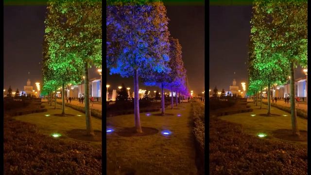 Липовая аллея ВДНХ смотреть онлайн