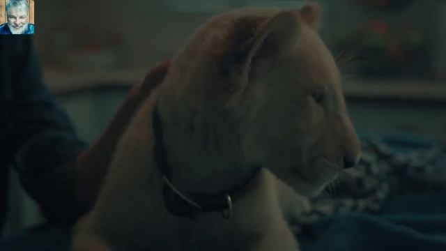 Лена и львенок / Трейлер фильма / Комедия смотреть онлайн