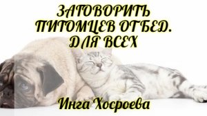 ЗАГОВОРИТЬ ПИТОМЦЕВ ОТ БЕД. ДЛЯ ВСЕХ. ИНГА ХОСРОЕВА. ВЕДЬМИНА ИЗБА.